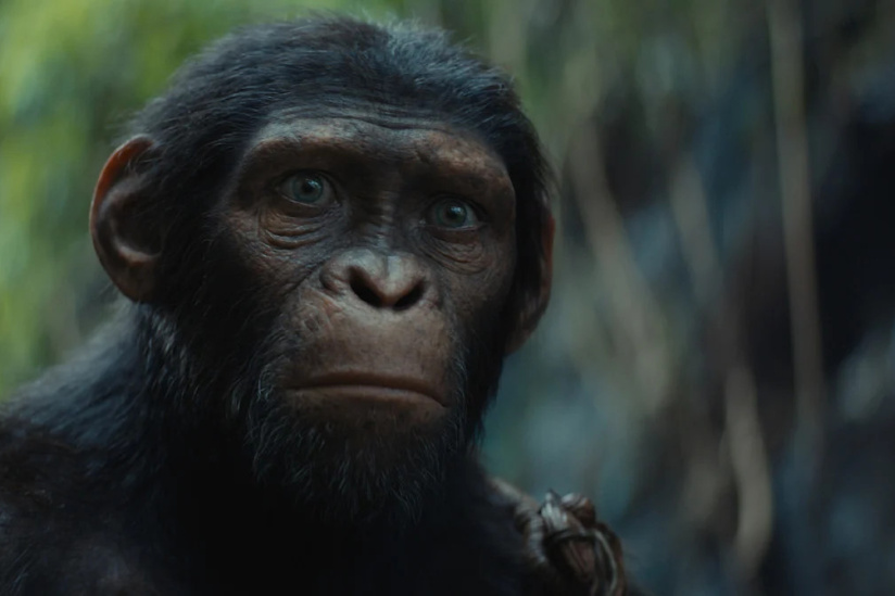 Le dernier des singes ?